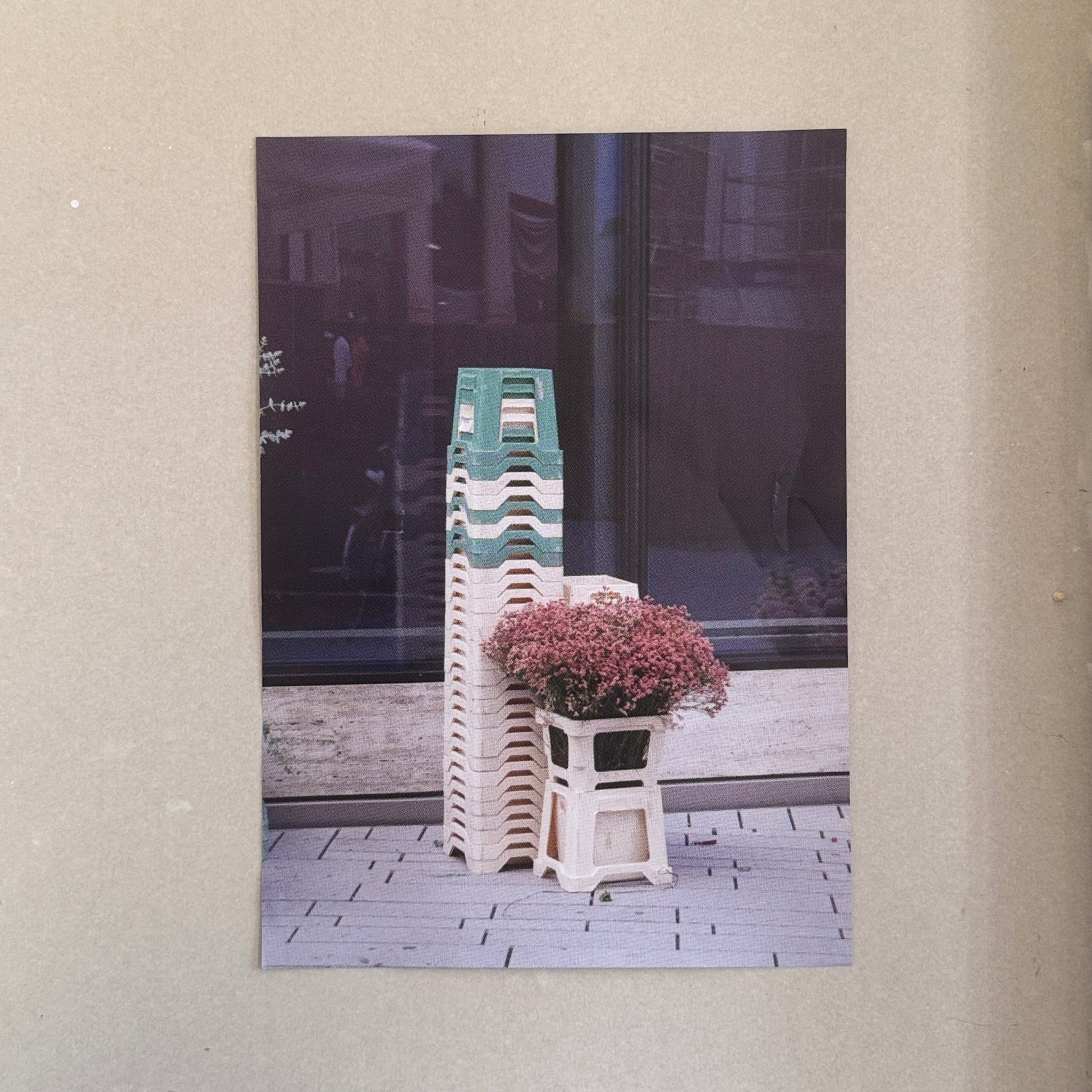 BLUMEN &amp; KONZEPT DAHINTER - Poster DIN A1