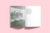 bundleaktion: buch + 1 poster